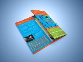 Portfolio item